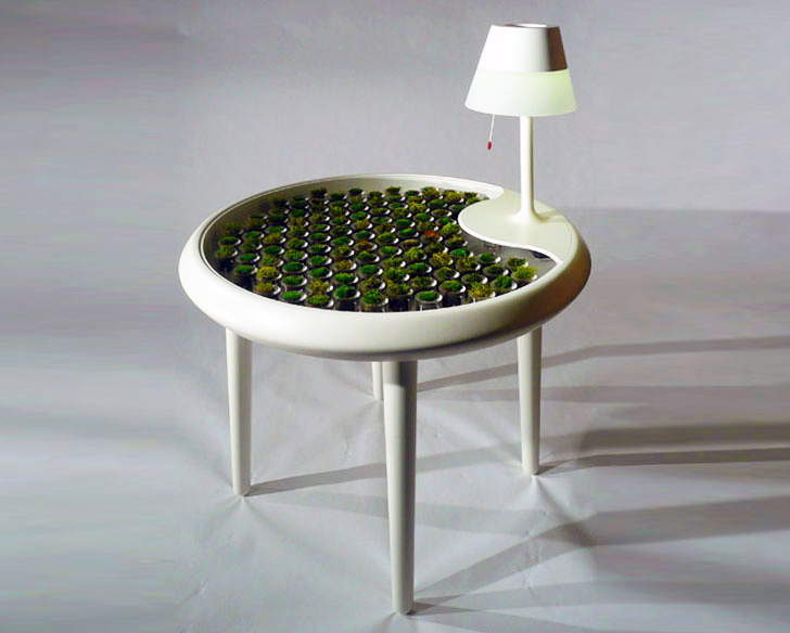 biophotovoltaic-moss-table