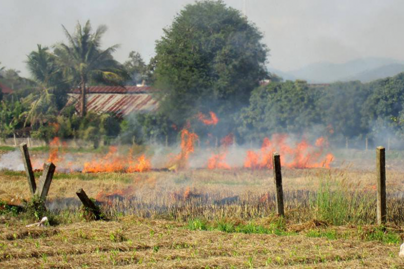 © Fire Reports Chiang Mai