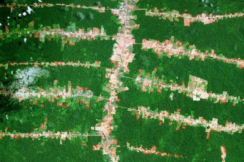  Ontbossing langsheen wegen – Amazonewoud in Brazilië (Google Earth)