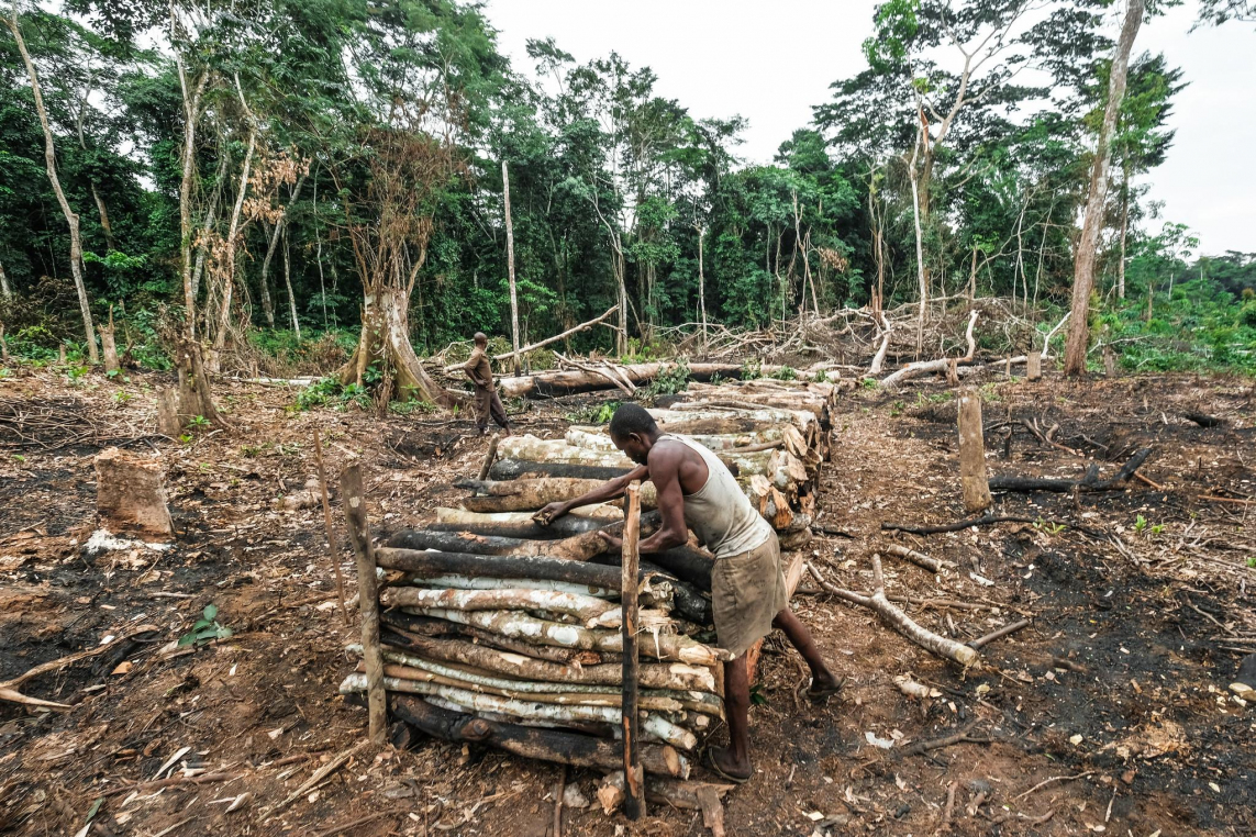 © Axel Fassio/CIFOR (CC BY-NC-ND 2.0)