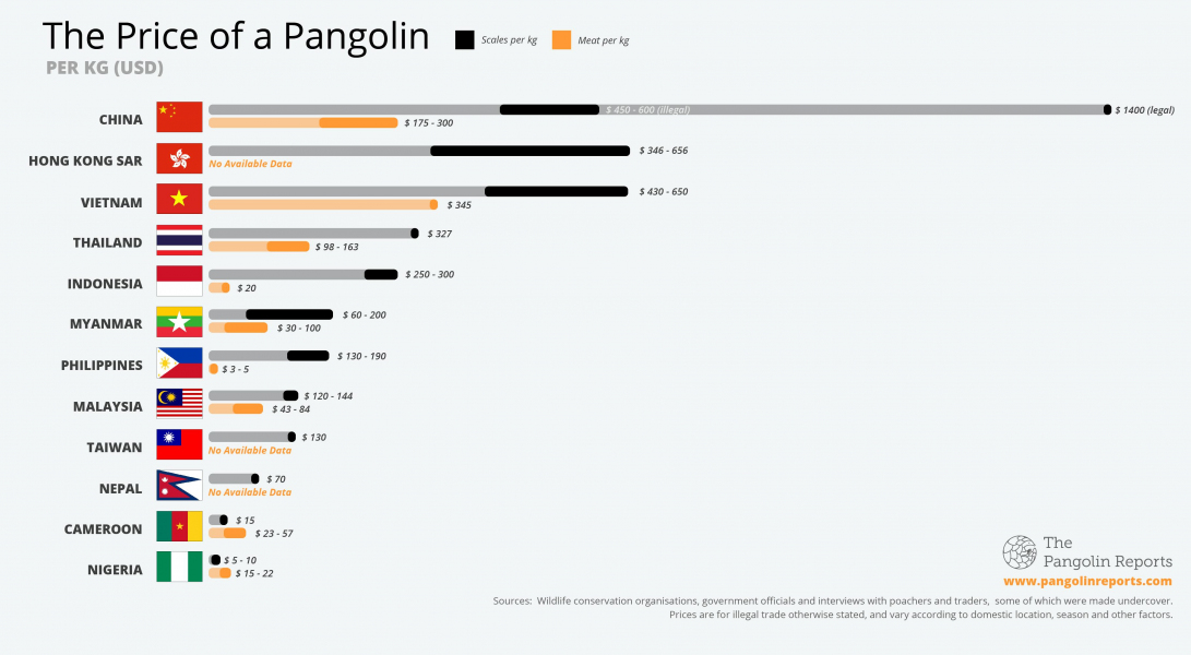 © The Pangolin Reports