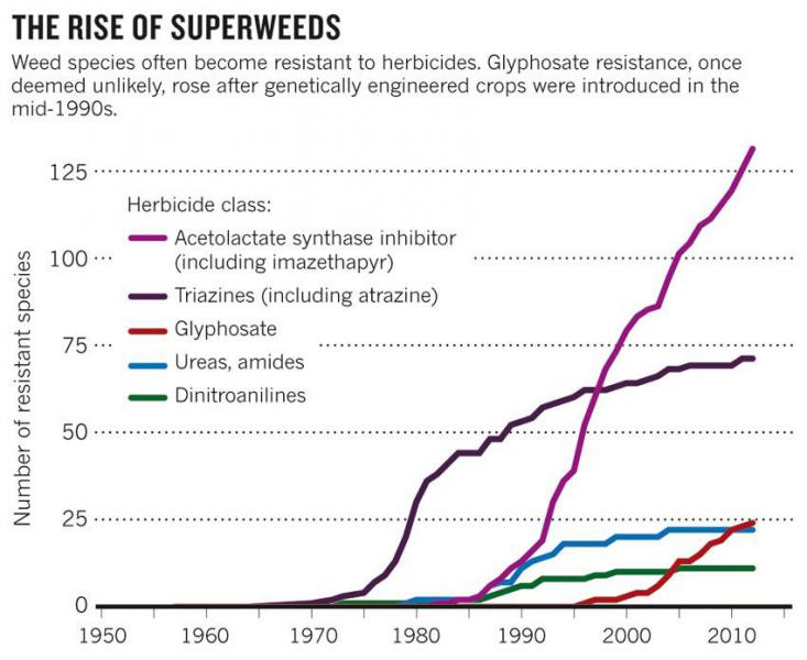 Source: Ian Heap, International Survey of Herbicide Resistant Weeds www.weedscience.org/graphs/soagraph.aspx (2013).