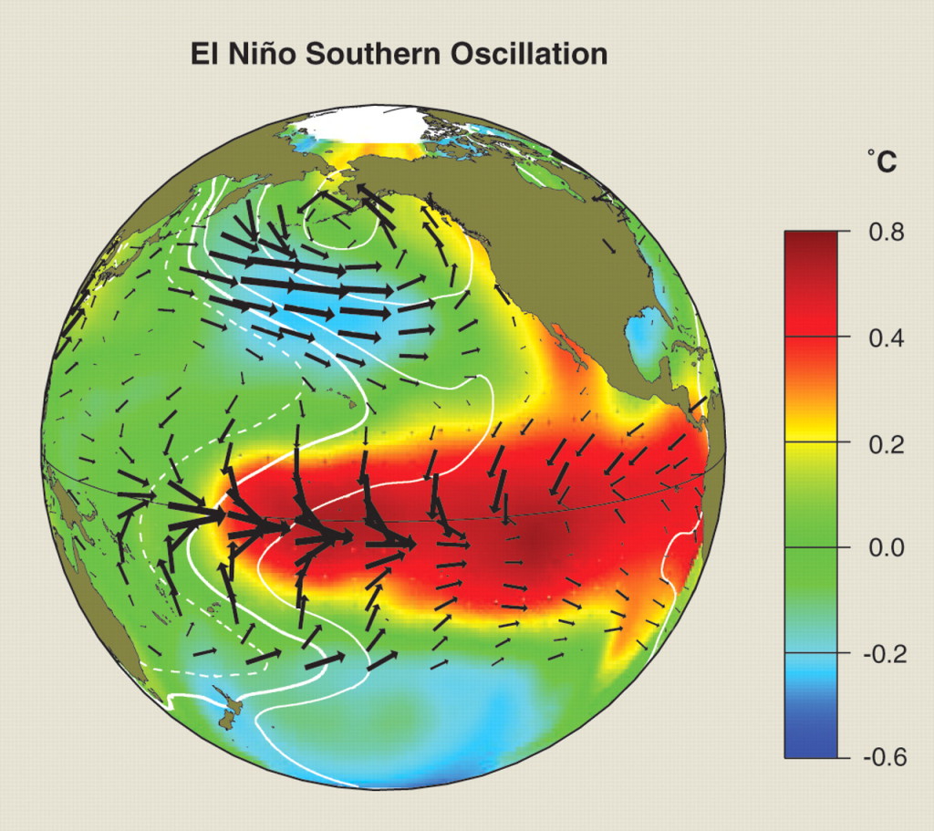 "ENSO as an Integrating Concept in Earth Science" McPhaden et al. 2007 (sciencemag.org)