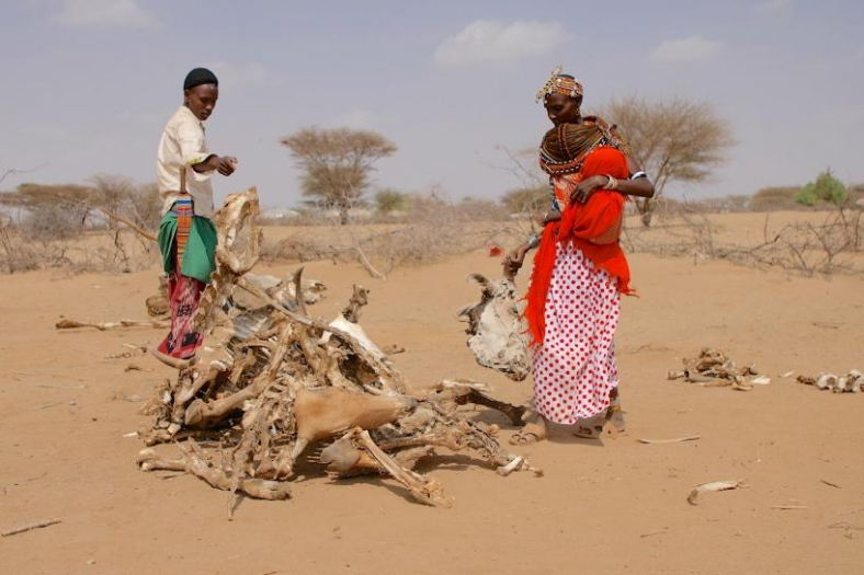 Darkuale Parsanti en zijn vrouw Mary Rampe bij wat er overblijft van hun vee in het droge noorden van Kenia.