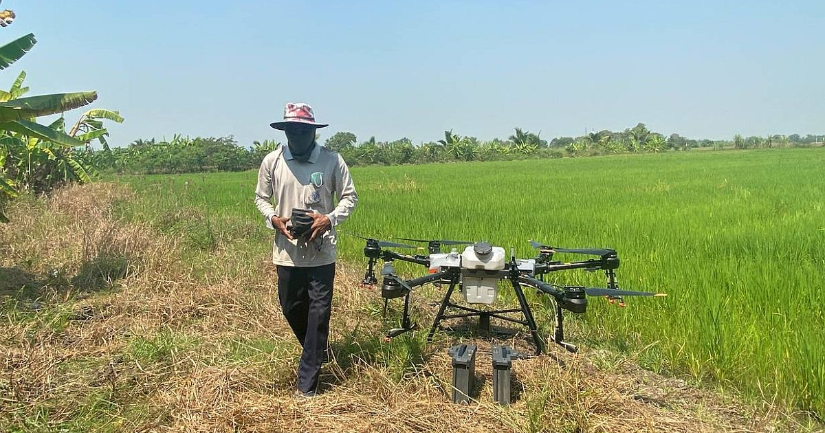 Drone sedang meningkat di pertanian Asia: kutukan atau anugerah bagi petani kecil?